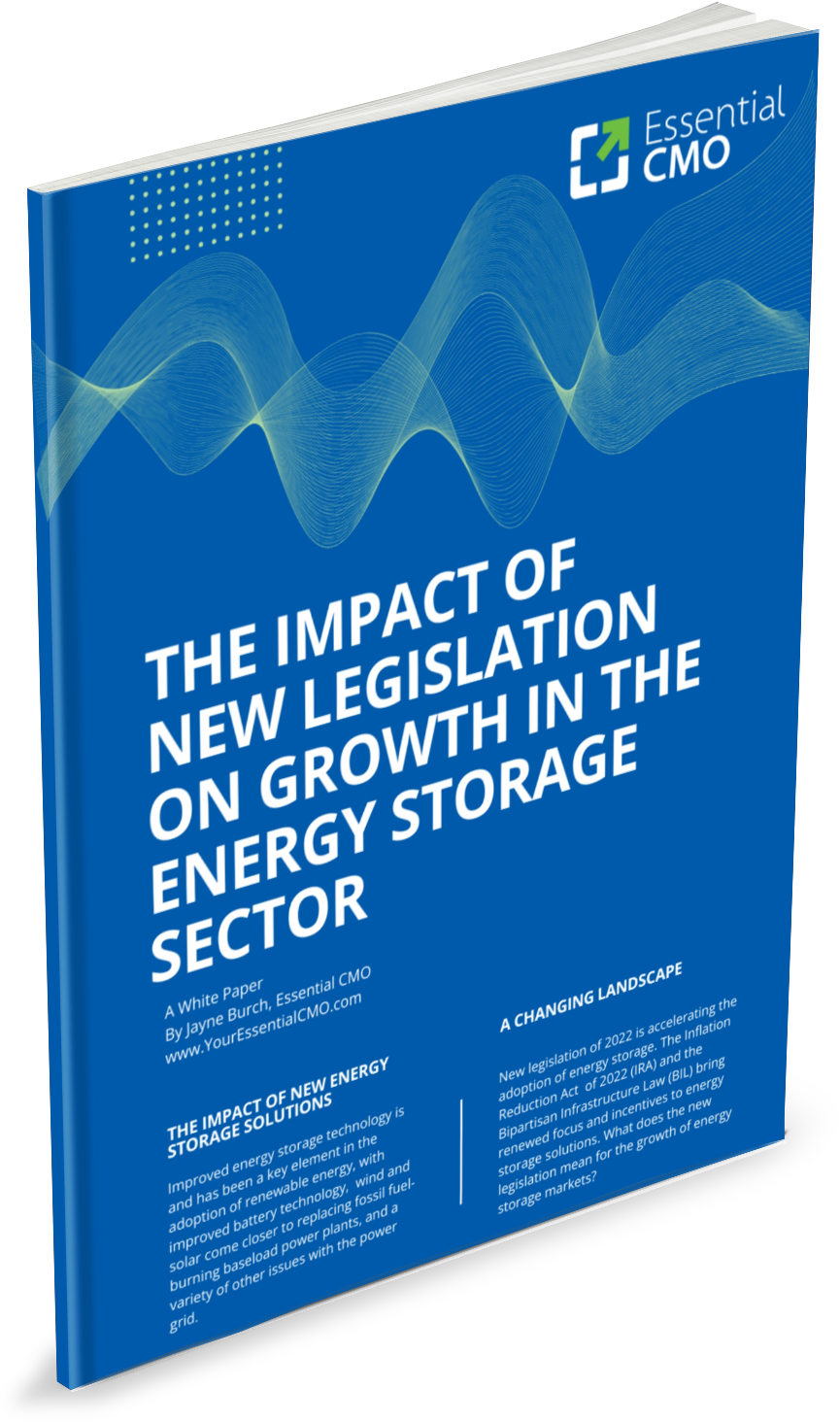 White paper on energy storage